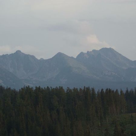 Pokoje Goscinne Bukowina Tatrzańska Dış mekan fotoğraf